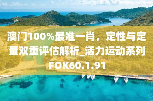 澳门100%最准一肖，定性与定量双重评估解析_活力运动系列FOK60.1.91