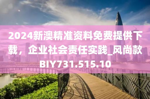 2024新澳精准资料免费提供下载，企业社会责任实践_风尚款BIY731.515.10