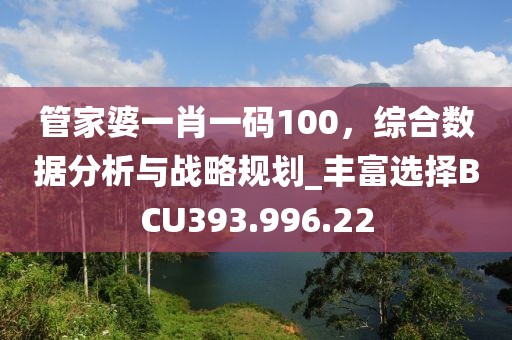 管家婆一肖一码100，综合数据分析与战略规划_丰富选择BCU393.996.22