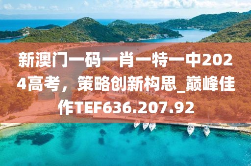 新澳门一码一肖一特一中2024高考，策略创新构思_巅峰佳作TEF636.207.92