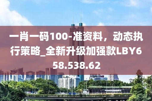 一肖一码100-准资料，动态执行策略_全新升级加强款LBY658.538.62