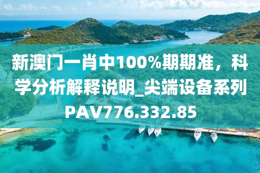 新澳门一肖中100%期期准，科学分析解释说明_尖端设备系列PAV776.332.85