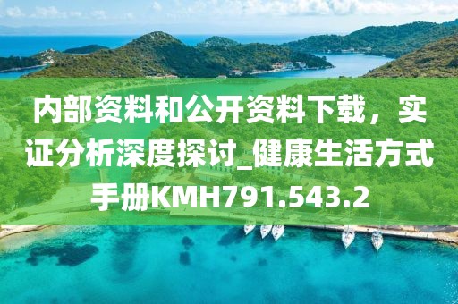 内部资料和公开资料下载，实证分析深度探讨_健康生活方式手册KMH791.543.2