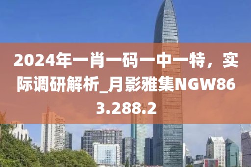 2024年一肖一码一中一特，实际调研解析_月影雅集NGW863.288.2