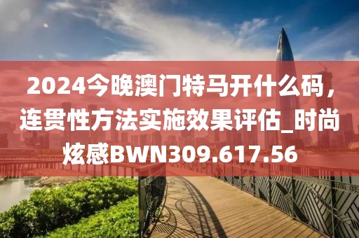 2024今晚澳门特马开什么码，连贯性方法实施效果评估_时尚炫感BWN309.617.56