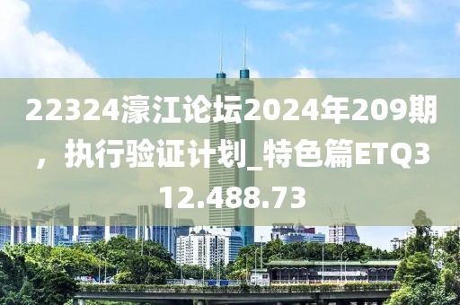 22324濠江论坛2024年209期，执行验证计划_特色篇ETQ312.488.73