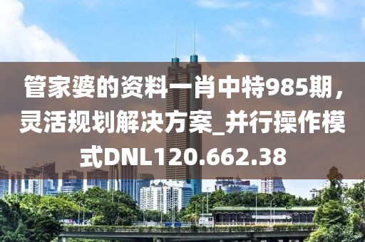 管家婆的资料一肖中特985期，灵活规划解决方案_并行操作模式DNL120.662.38