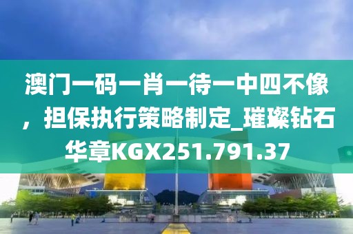 澳门一码一肖一待一中四不像，担保执行策略制定_璀璨钻石华章KGX251.791.37