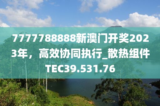 7777788888新澳门开奖2023年，高效协同执行_散热组件TEC39.531.76