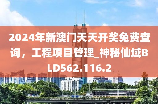 2024年新澳门天天开奖免费查询，工程项目管理_神秘仙域BLD562.116.2