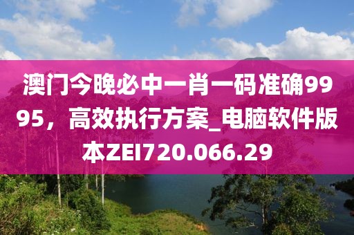 澳门今晚必中一肖一码准确9995，高效执行方案_电脑软件版本ZEI720.066.29