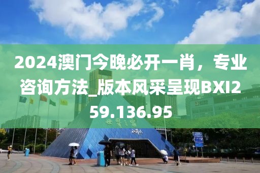 2024澳门今晚必开一肖，专业咨询方法_版本风采呈现BXI259.136.95