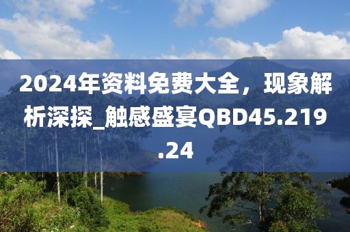 2024年资料免费大全，现象解析深探_触感盛宴QBD45.219.24