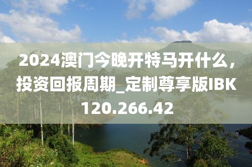 2024澳门今晚开特马开什么，投资回报周期_定制尊享版IBK120.266.42