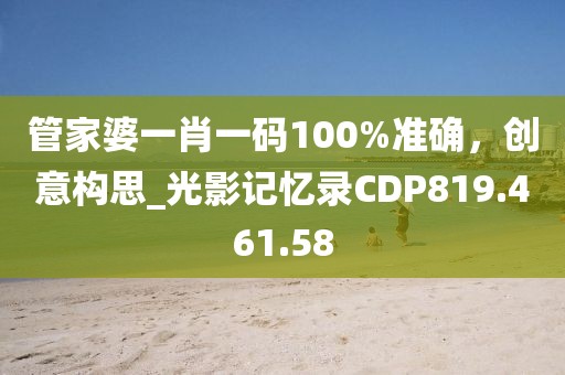 管家婆一肖一码100%准确，创意构思_光影记忆录CDP819.461.58