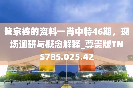 管家婆的资料一肖中特46期，现场调研与概念解释_尊贵版TNS785.025.42