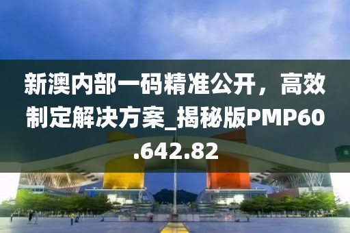 新澳内部一码精准公开，高效制定解决方案_揭秘版PMP60.642.82