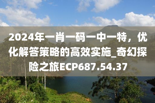 2024年一肖一码一中一特，优化解答策略的高效实施_奇幻探险之旅ECP687.54.37