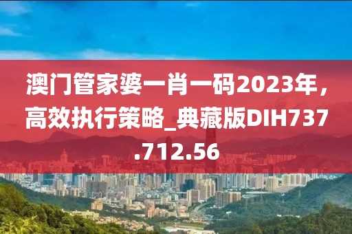 澳门管家婆一肖一码2023年，高效执行策略_典藏版DIH737.712.56