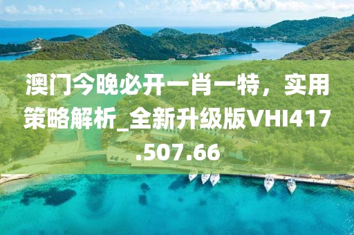 澳门今晚必开一肖一特，实用策略解析_全新升级版VHI417.507.66