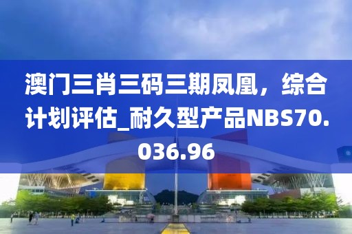 澳门三肖三码三期凤凰，综合计划评估_耐久型产品NBS70.036.96