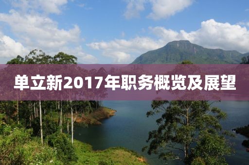 单立新2017年职务概览及展望