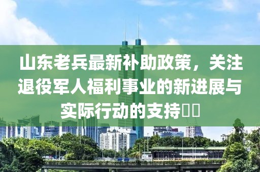 山东老兵最新补助政策，关注退役军人福利事业的新进展与实际行动的支持​​