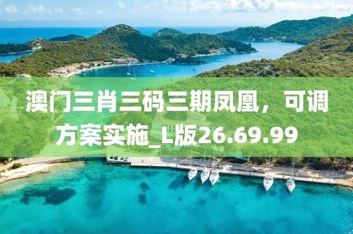 澳门三肖三码三期凤凰，可调方案实施_L版26.69.99