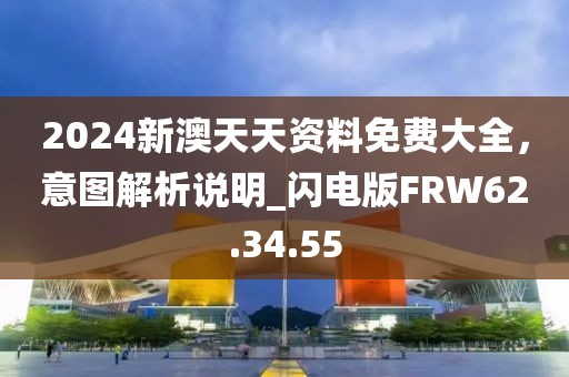 2024新澳天天资料免费大全，意图解析说明_闪电版FRW62.34.55