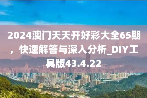 2024澳门天天开好彩大全65期，快速解答与深入分析_DIY工具版43.4.22