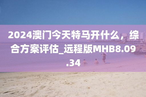 2024澳门今天特马开什么，综合方案评估_远程版MHB8.09.34