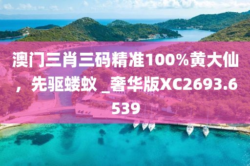 澳门三肖三码精准100%黄大仙，先驱蝼蚁 _奢华版XC2693.6539