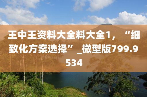 王中王资料大全料大全1，“细致化方案选择”_微型版799.9534