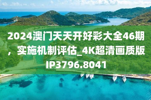 2024澳门天天开好彩大全46期，实施机制评估_4K超清画质版IP3796.8041