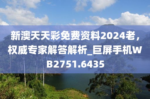 新澳天天彩免费资料2024老，权威专家解答解析_巨屏手机WB2751.6435