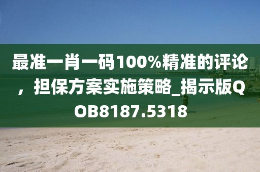 最准一肖一码100%精准的评论，担保方案实施策略_揭示版QOB8187.5318