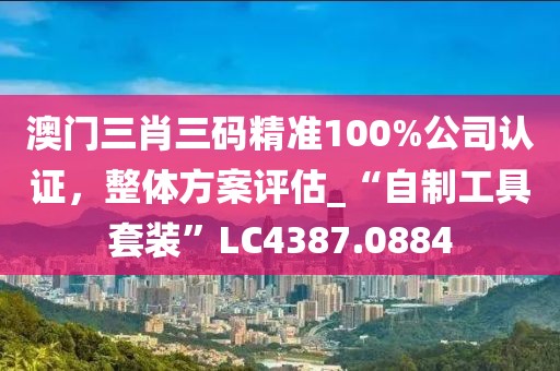 澳门三肖三码精准100%公司认证，整体方案评估_“自制工具套装”LC4387.0884