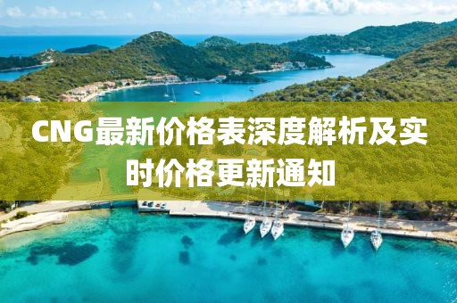 CNG最新价格表深度解析及实时价格更新通知