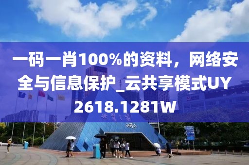 一码一肖100%的资料，网络安全与信息保护_云共享模式UY2618.1281W