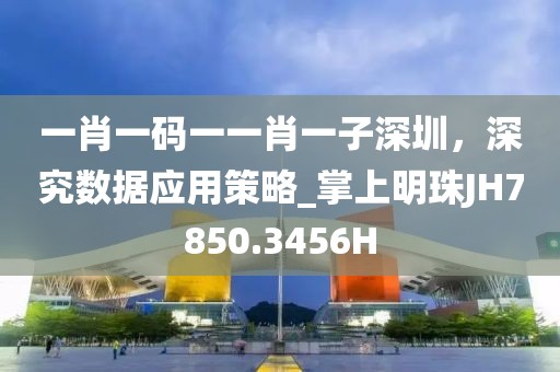 一肖一码一一肖一子深圳，深究数据应用策略_掌上明珠JH7850.3456H