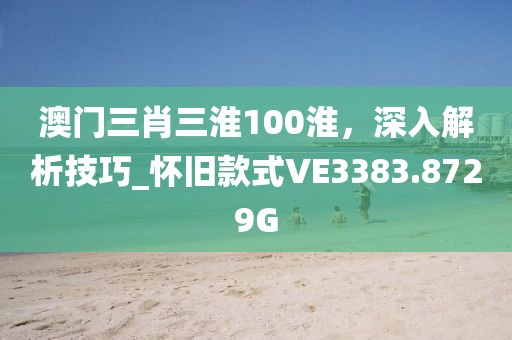 澳门三肖三淮100淮，深入解析技巧_怀旧款式VE3383.8729G