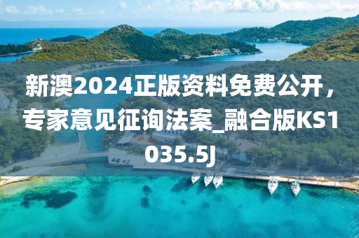 新澳2024正版资料免费公开，专家意见征询法案_融合版KS1035.5J