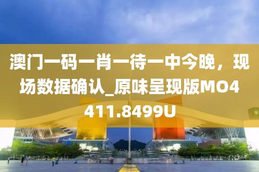 澳门一码一肖一待一中今晚，现场数据确认_原味呈现版MO4411.8499U