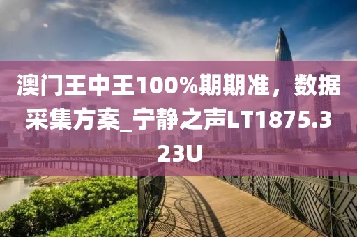 澳门王中王100%期期准，数据采集方案_宁静之声LT1875.323U