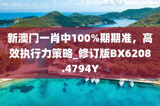 新澳门一肖中100%期期准，高效执行力策略_修订版BX6208.4794Y