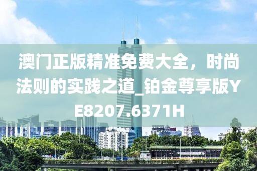 澳门正版精准免费大全，时尚法则的实践之道_铂金尊享版YE8207.6371H