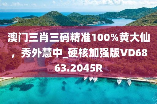 澳门三肖三码精准100%黄大仙，秀外慧中_硬核加强版VD6863.2045R