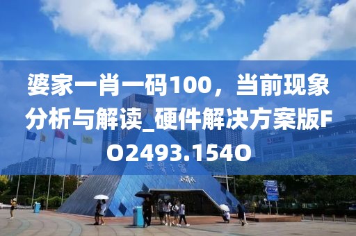 婆家一肖一码100，当前现象分析与解读_硬件解决方案版FO2493.154O