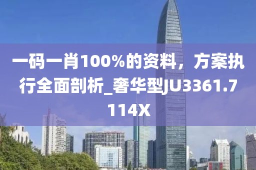 一码一肖100%的资料，方案执行全面剖析_奢华型JU3361.7114X