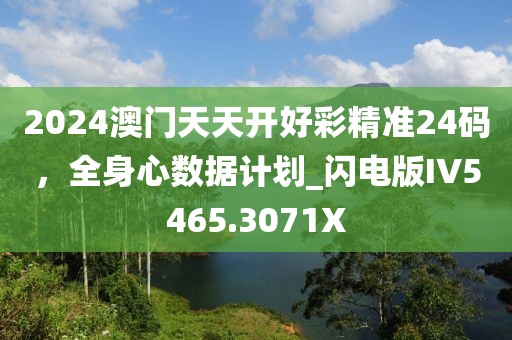 2024澳门天天开好彩精准24码，全身心数据计划_闪电版IV5465.3071X